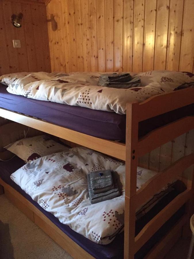 Chalet Michel Bruson Ngoại thất bức ảnh