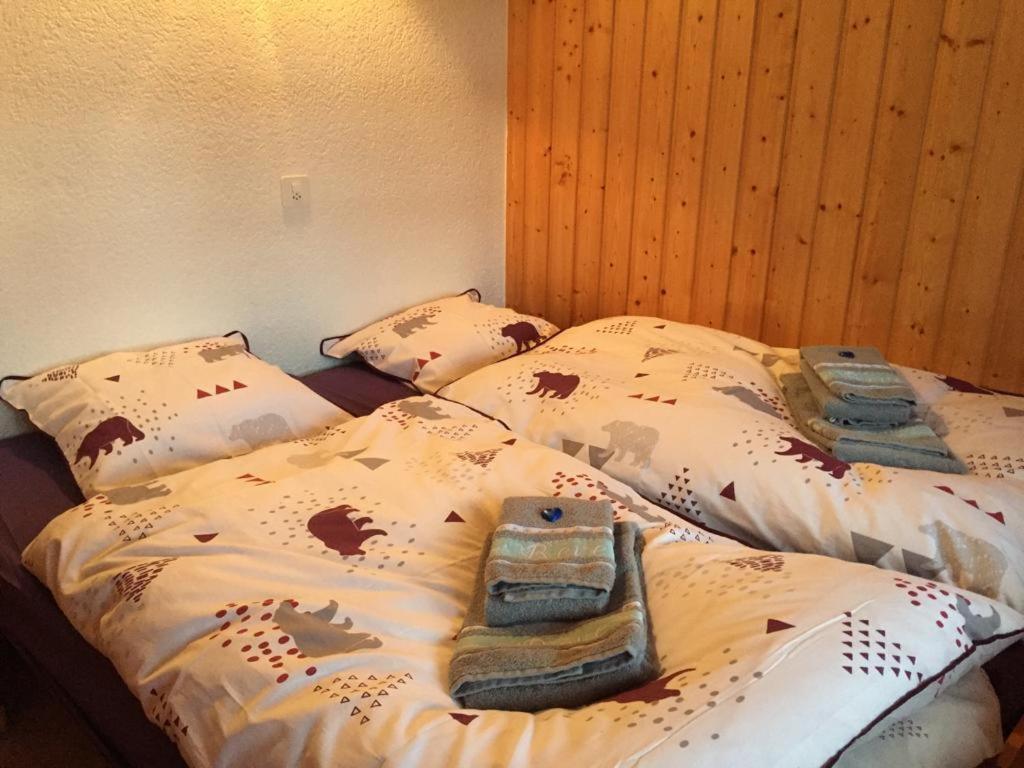 Chalet Michel Bruson Ngoại thất bức ảnh